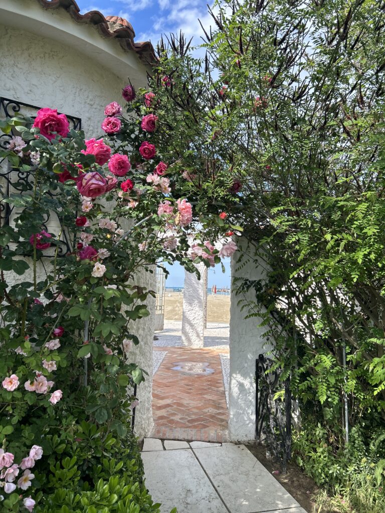 entrata in spiaggia con rose
